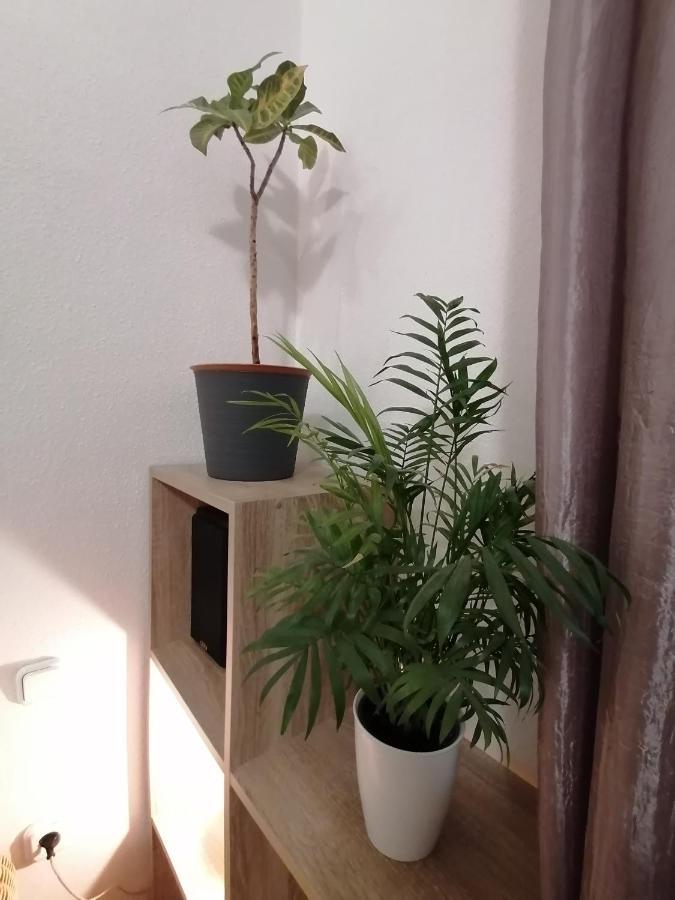 A Jump From Downtown Apartment Будапеща Екстериор снимка